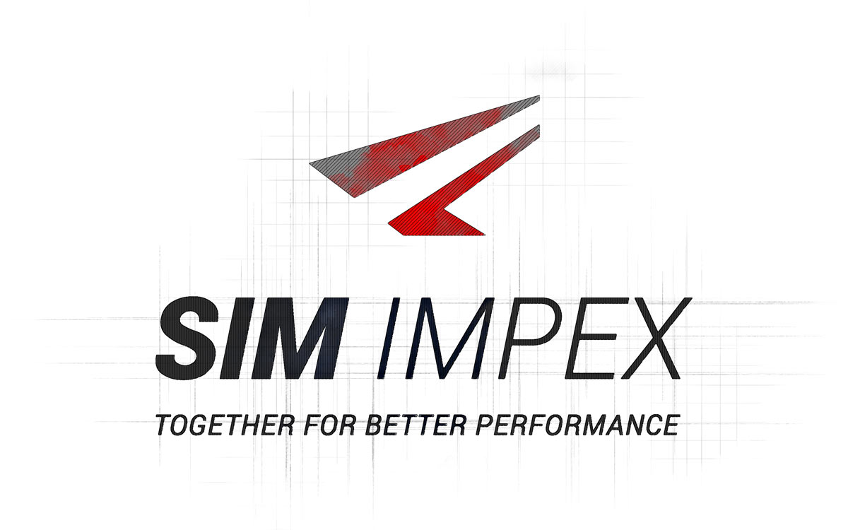 Logo Design SIM IMPEX